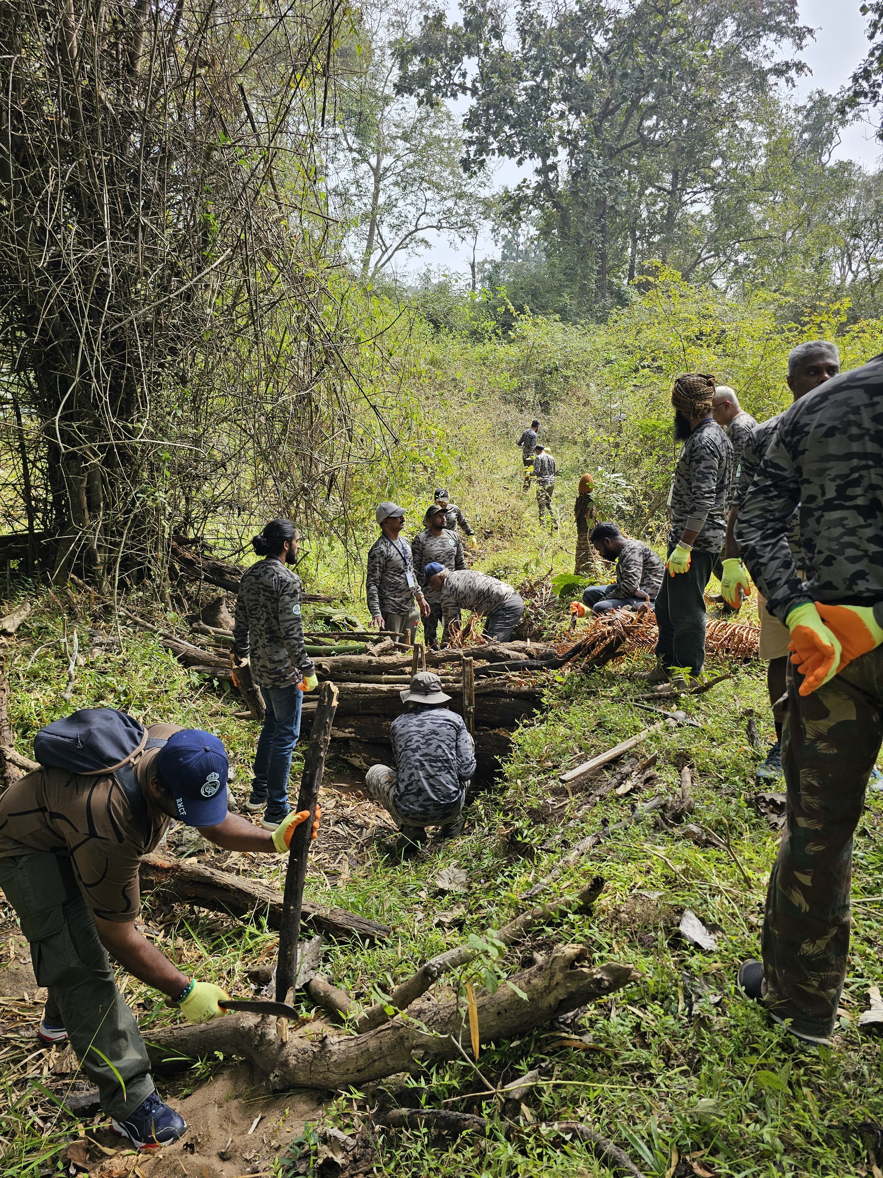 Forest restoration